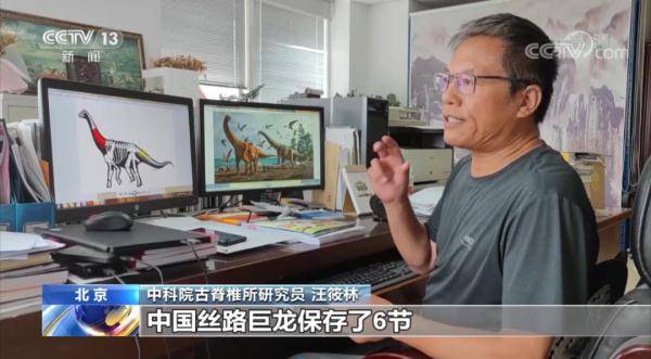 动物群|新疆哈密翼龙动物群首次发现大型恐龙化石！两个恐龙新属种被命名→