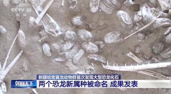 动物群|新疆哈密翼龙动物群首次发现大型恐龙化石！两个恐龙新属种被命名→