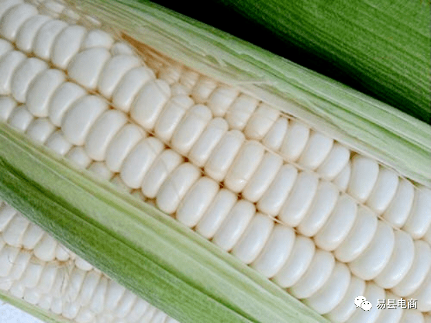 我在乡下有亩田|易县南城司白马牙基地