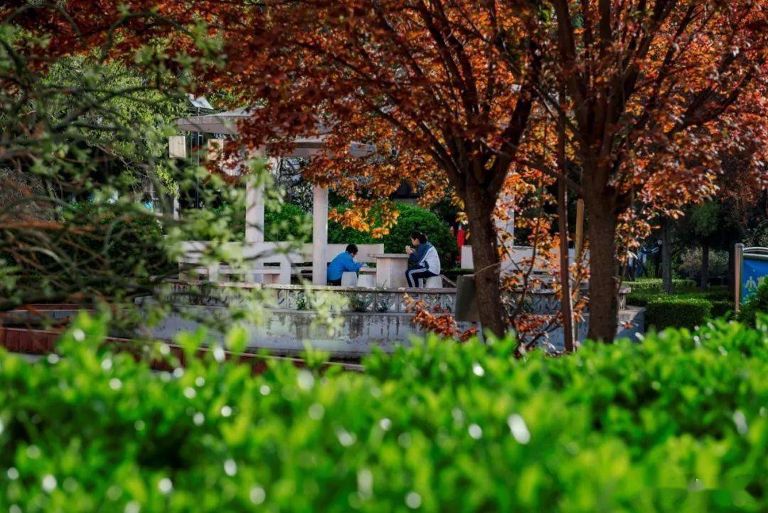 其中我最感谢的是我的班主任陈志明老师,从我进入652的第一天起,他就