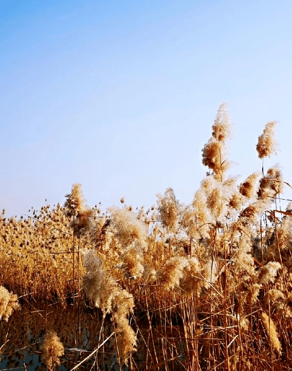 上校他体力太好h在线阅读 早读 向生活妥