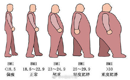 社会|中年发福不要甩锅代谢