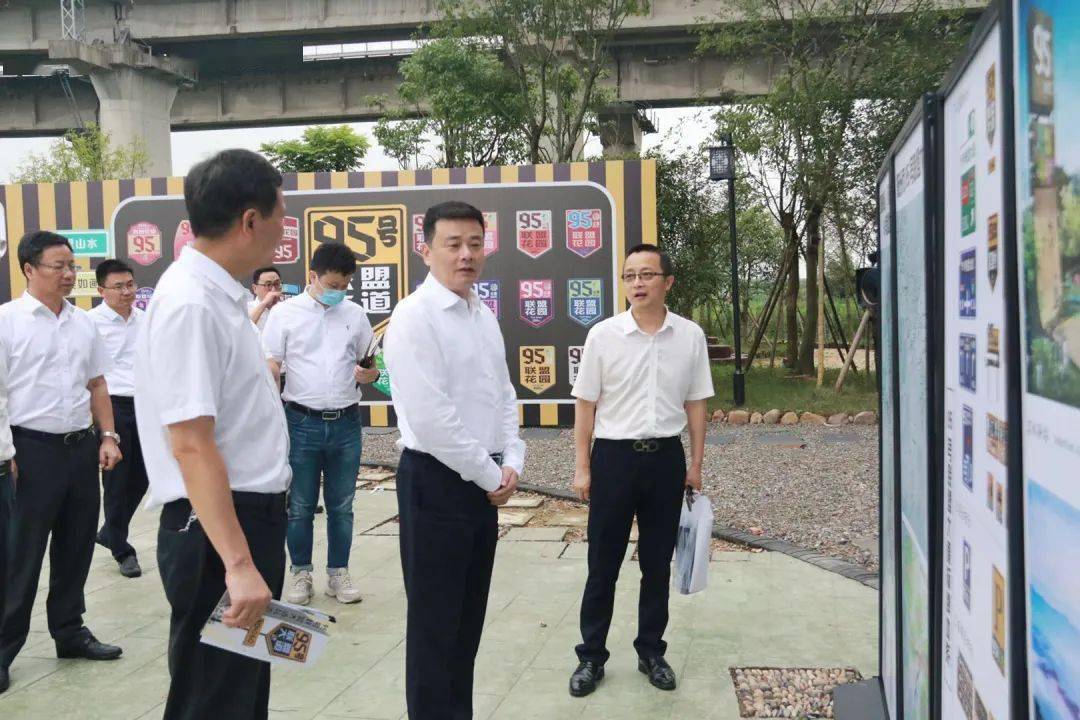 衢州市委书记汤飞帆调研95号联盟大道建设情况.