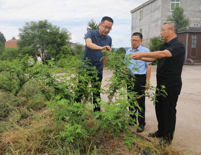 8月14日,县委副书记,县长张勋到部分乡镇宣讲省市县全会精神,调研督导
