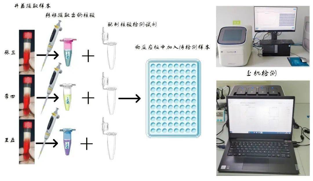 离心管卡通图片图片