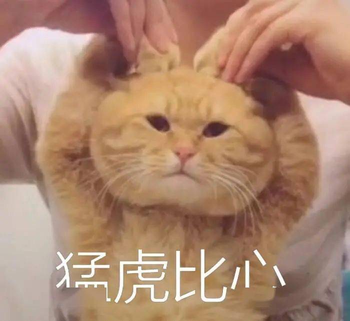​今晚正儿八经的OC君，有话要说！