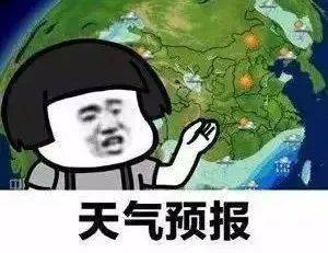 什么是出伏 f0bb5224eaf24302aa6a1fd663f29672.jpeg