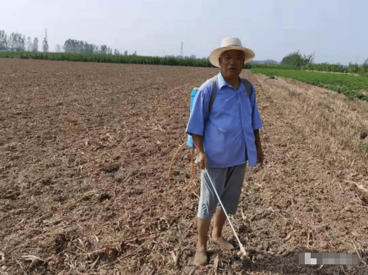 农户|石婆固镇：浴“水”重生保产量生产自救补种忙