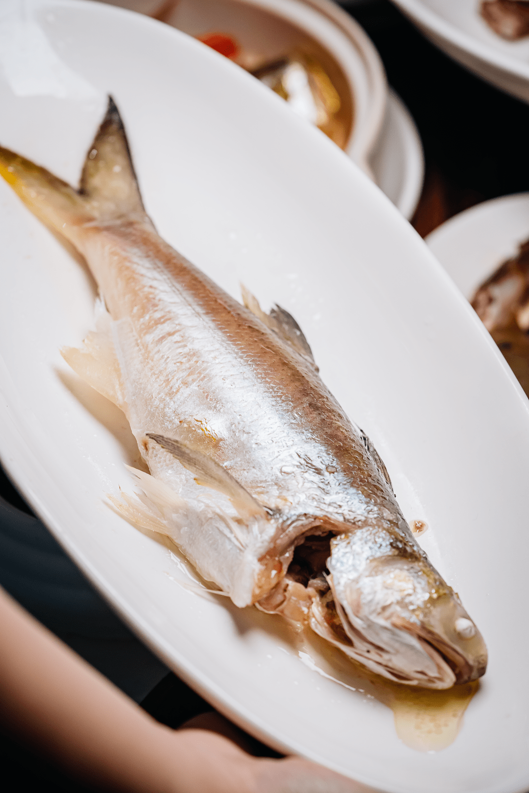 在家怎么做豆腐鱼 5ce482415aa94da6a3ffec7cbacd3511.png