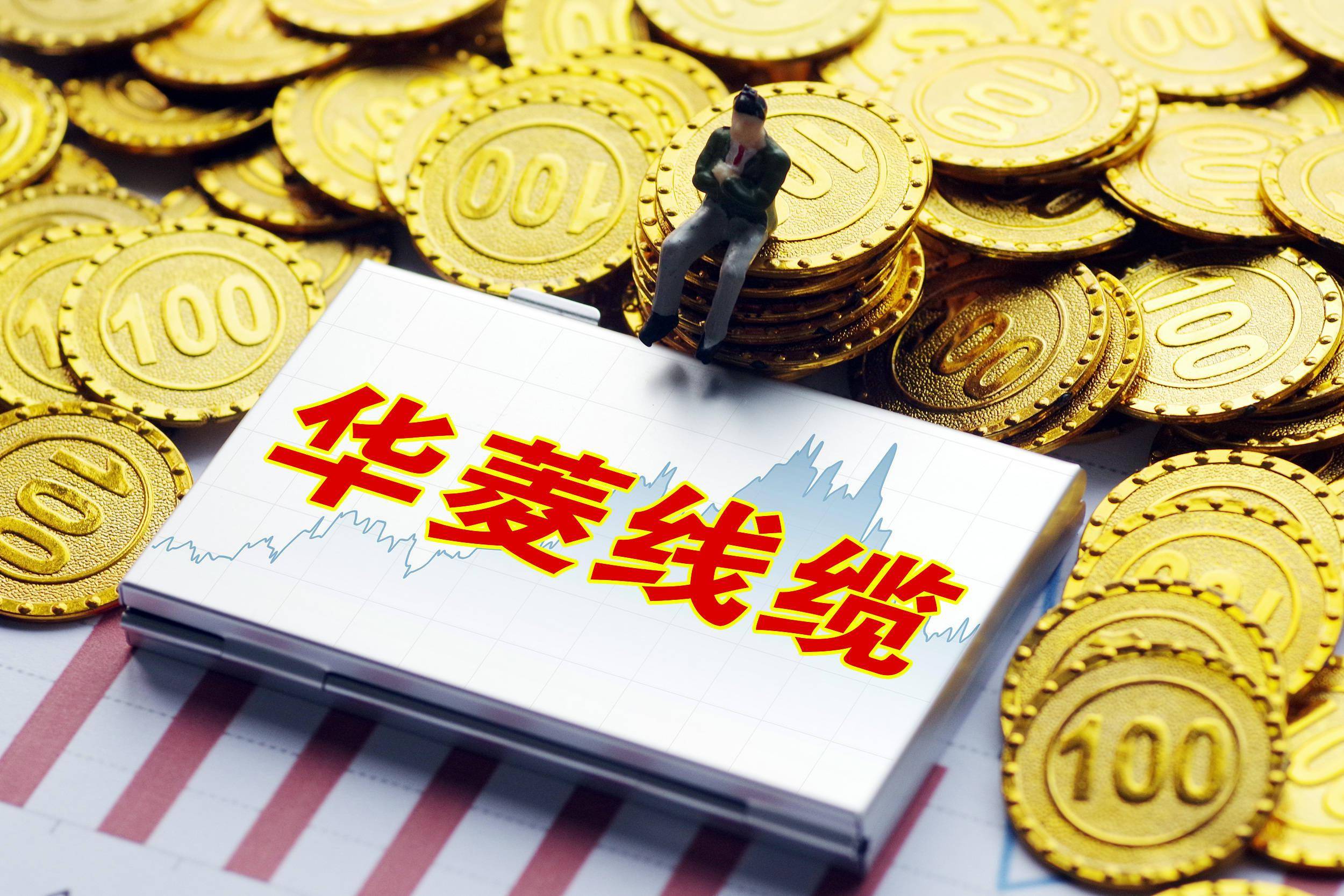 10天9板后惨跌停,华菱线缆首份财报,半年净利6650万同比增222%