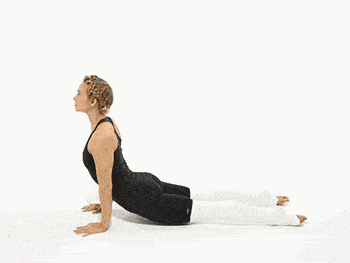 790a83fde3454f348475fa9e1f286dd6.gif