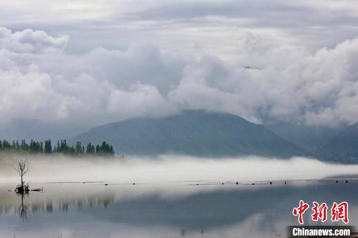 化隆县|青海高原黄河岸畔：云雾缭绕恰似江南水乡