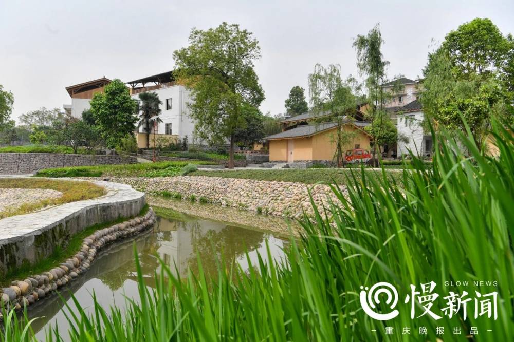 青山绿水 田园牧歌 九龙坡这个村入选全国乡村旅游重点村！