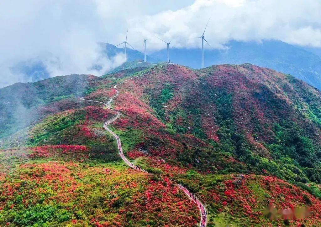 秀美乡村游——石城高田篇_旅游