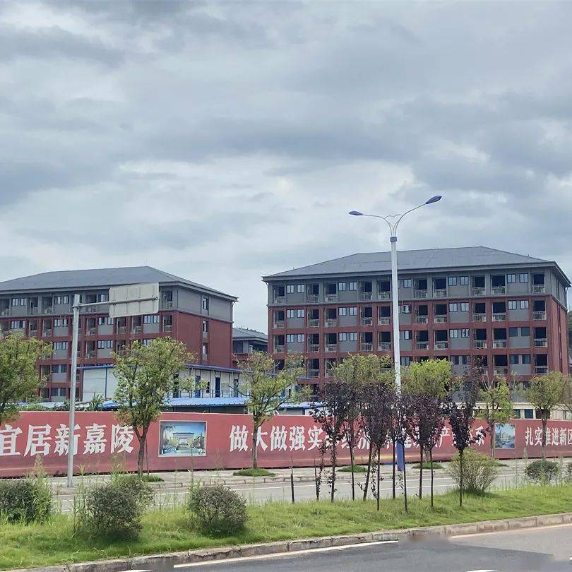 重庆市嘉陵小学简介图片