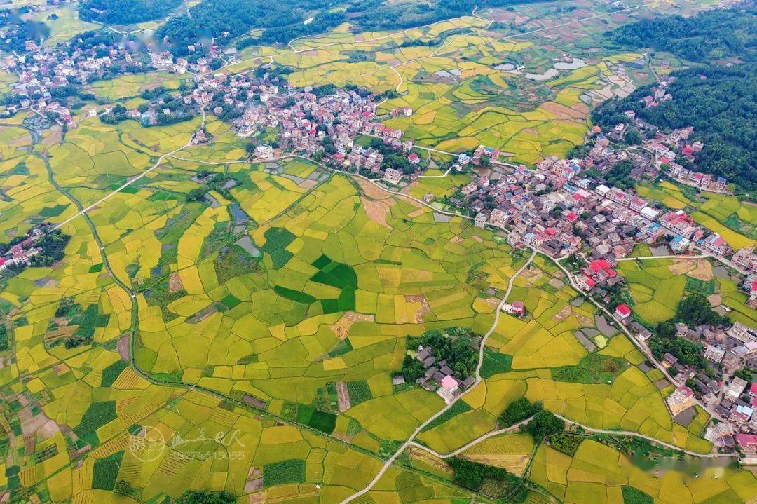 东安县鹿马桥镇金江村田园秋色