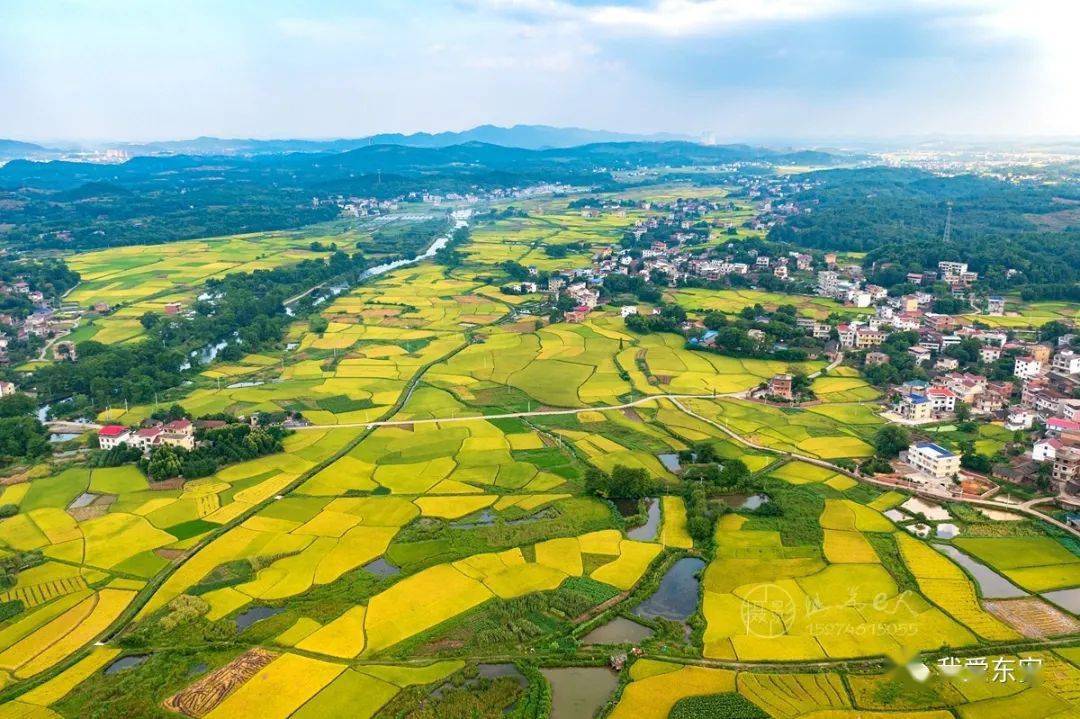 东安县鹿马桥镇金江村田园秋色