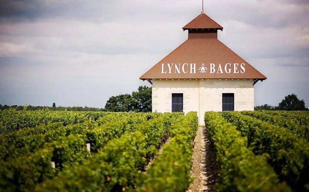 国际|北京房山——许你一场浪漫的葡萄酒之旅