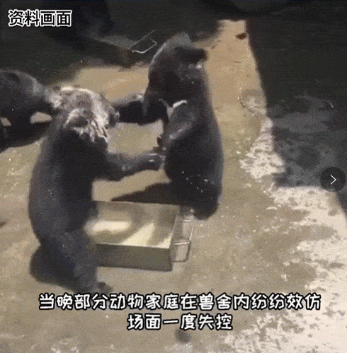 1b050edc3fb84c33b87e5edcdb919ad6.gif