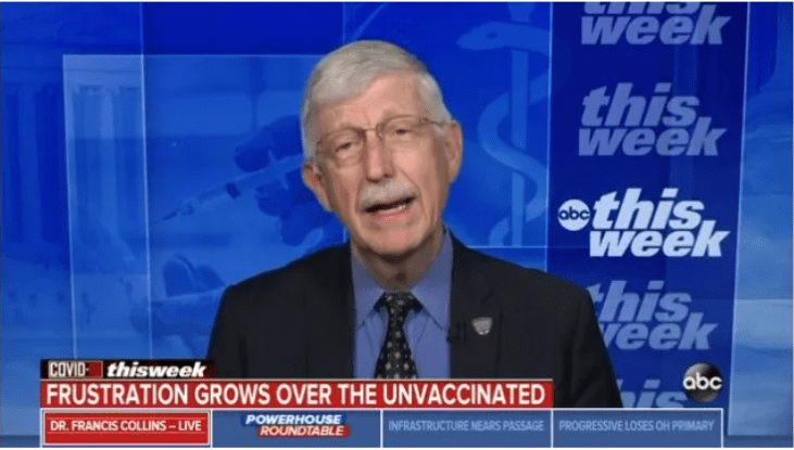 疫情|环球深观察丨美国“基础病”：疫情催化下的动荡与撕裂