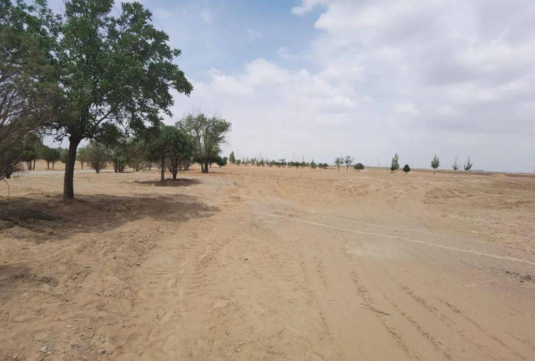 马家滩镇拆旧貌换新颜开启乡村振兴新局面