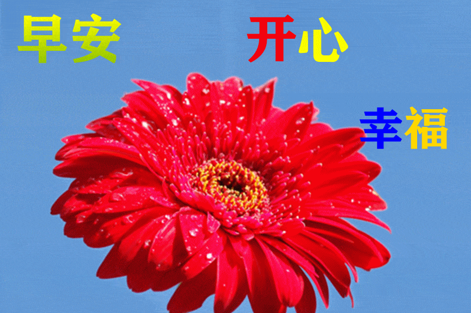最漂亮早上好动态表情图片大全早晨好动图美图大全