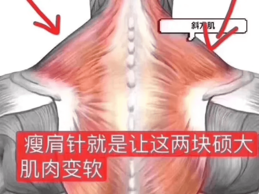芽芽|女明星最爱做的注射微整，都被我扒出来了！