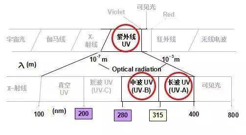 地表|地表最强，军训存活指南