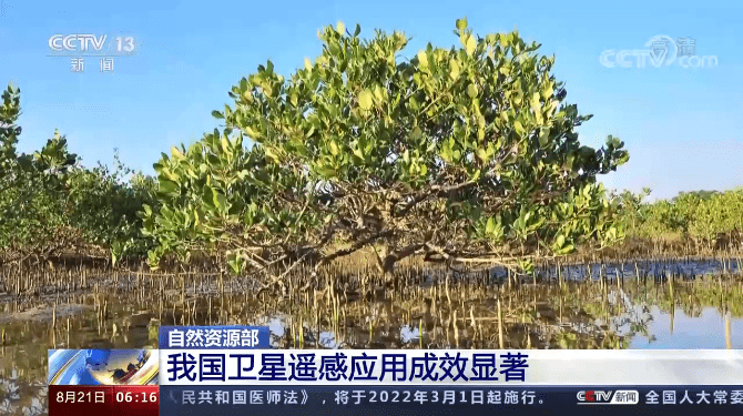 监测|自然资源部：去年遥感卫星共识别出三峡库区等地疑似隐患8450处