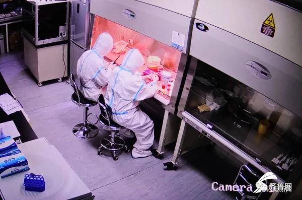 争分夺秒|为病例诊断“一锤定音”，为疫情防控“争分夺秒” 这就是新冠病毒检测员的日常工作