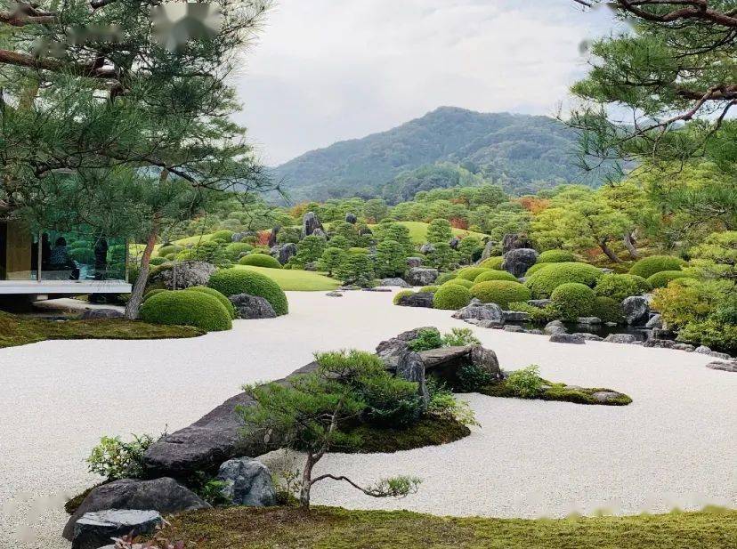 日本第一庭院 足立美术馆 庭园