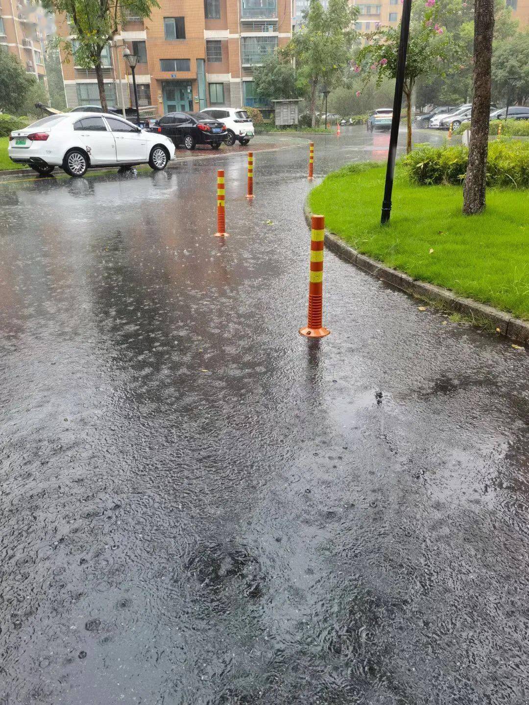 暴雨黄色预警出伏后下沙迎来首场暴雨网友淋成落汤鸡