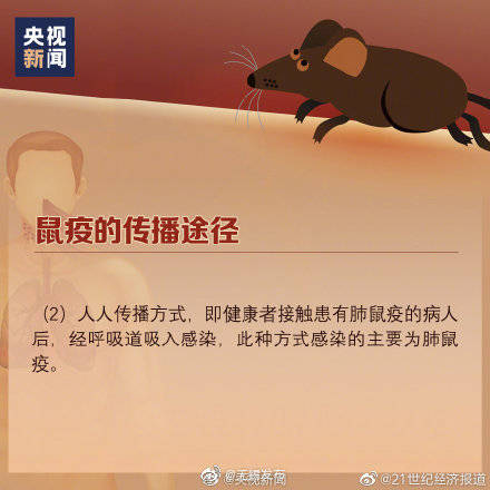疫情|什么是鼠疫、如何预防鼠疫？