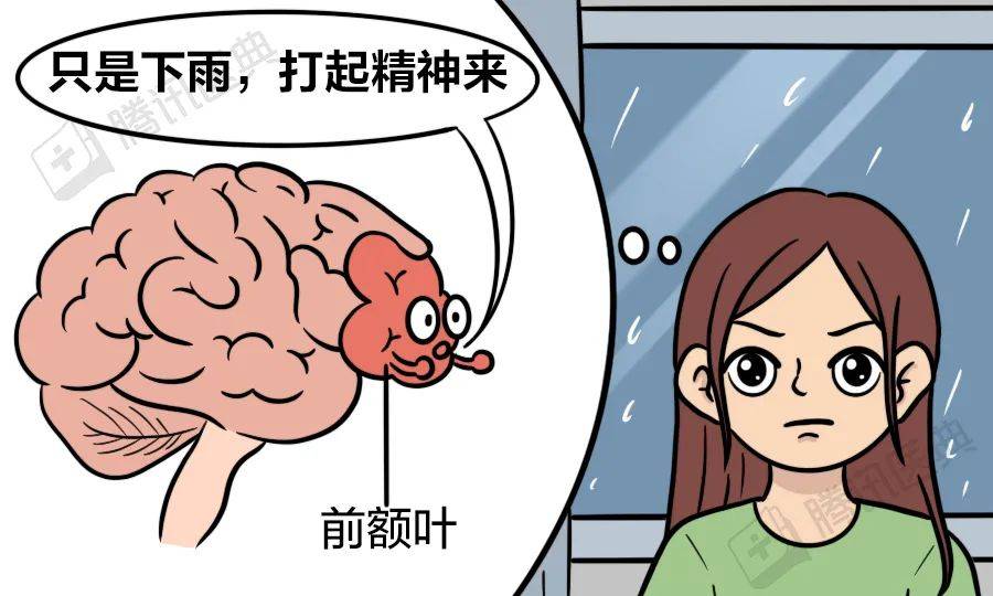 魔法|为什么一下雨就想睡觉？这是大自然给你的“福利”