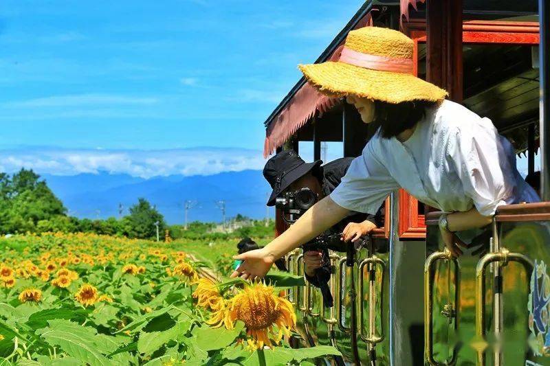 崇州市有多少人口_安逸四川 冬游天府 ,崇州有你最爱的 成都冬味儿