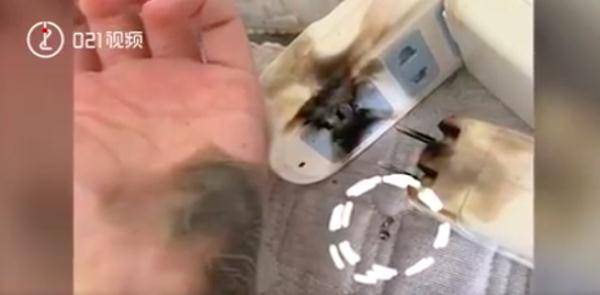 插座|这样拔插头，手被炸黑