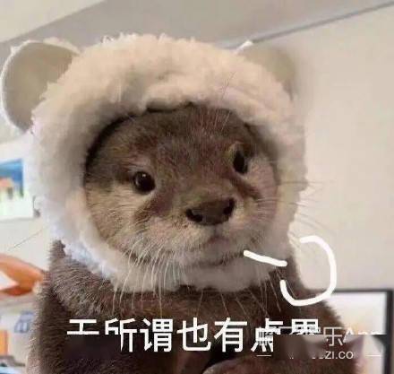 场面|被骂也不冤?综艺节目恶意剪辑名场面盘点,虞书欣张雨绮直接开怼