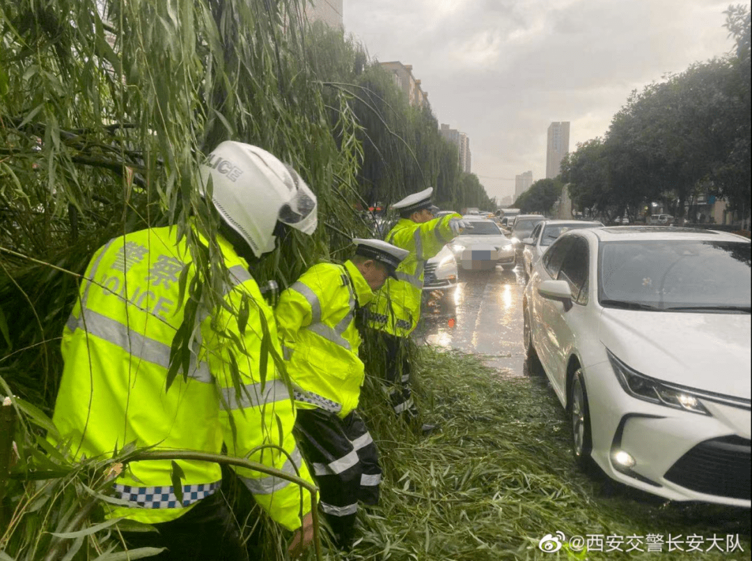 部分綠化帶塌陷 紡渭路柳新路十字南側約100米路東,萬象灣小區附近