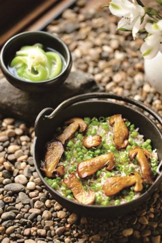 锦囊|赠你八个锦囊 打败“秋老虎”