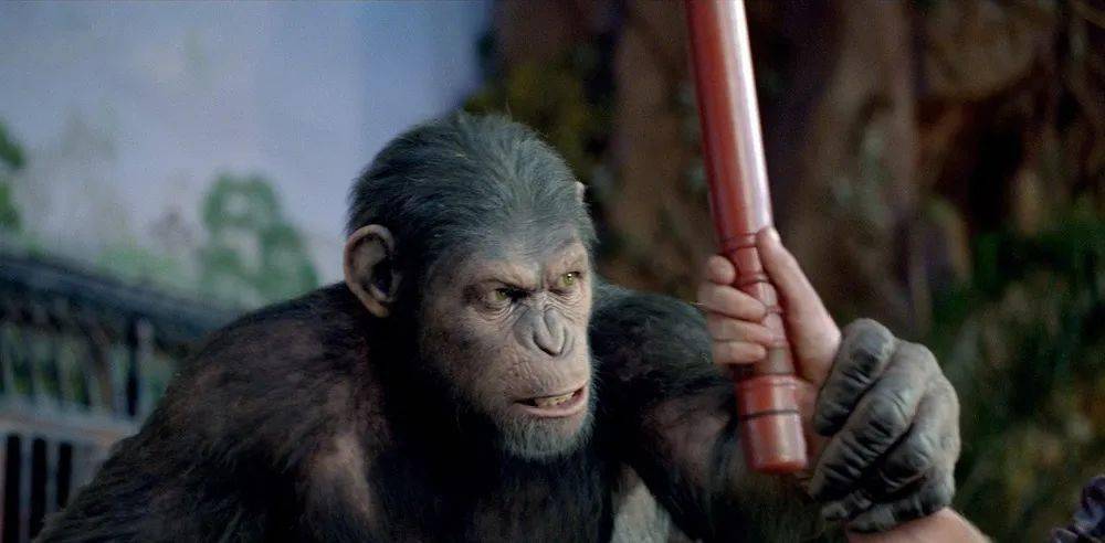 科幻电影猩球崛起1