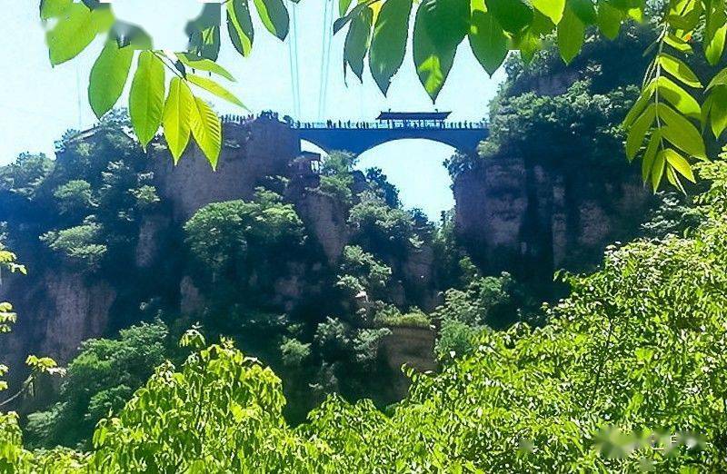 周末1日天云山北方张家界神奇天云山の白云缭绕溪水潺潺山花烂漫百鸟