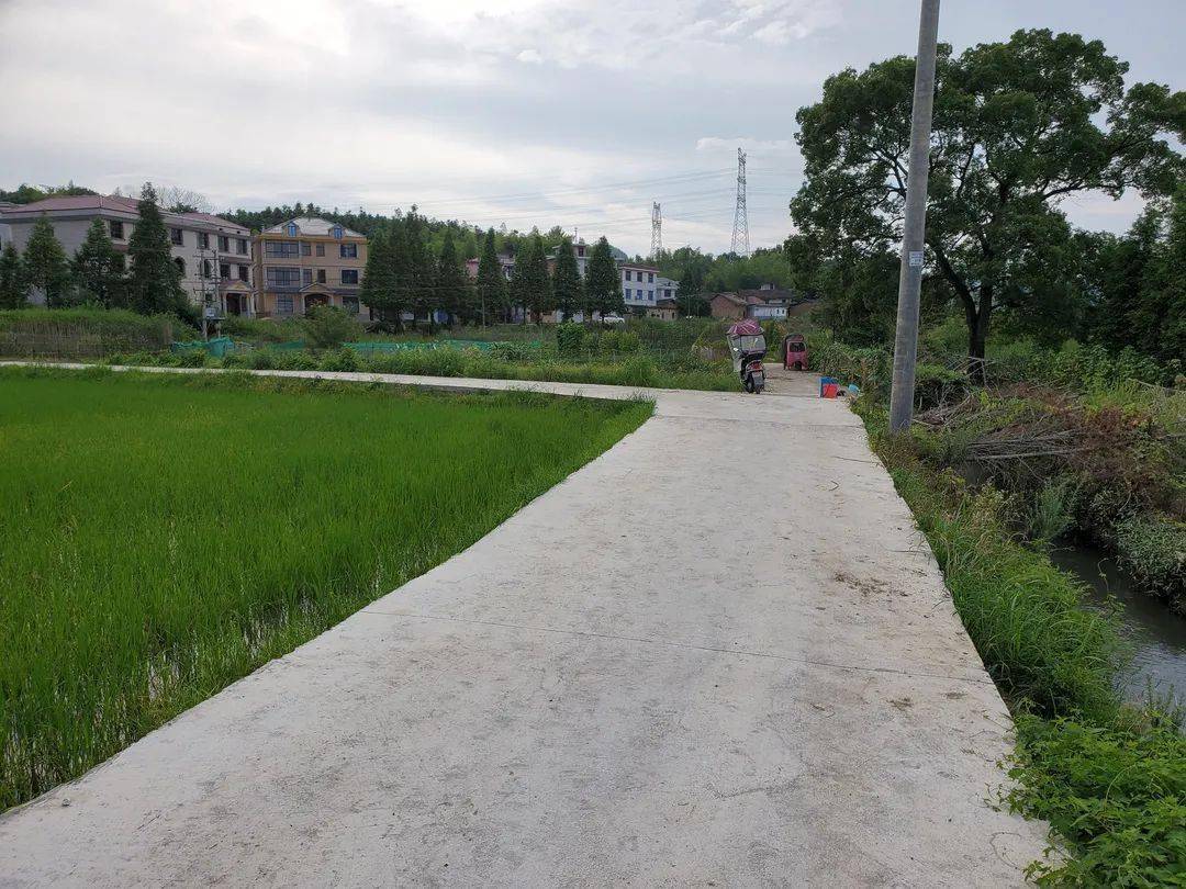 【乡镇动态】双林镇:旧路焕新颜,幸福路更宽_道路