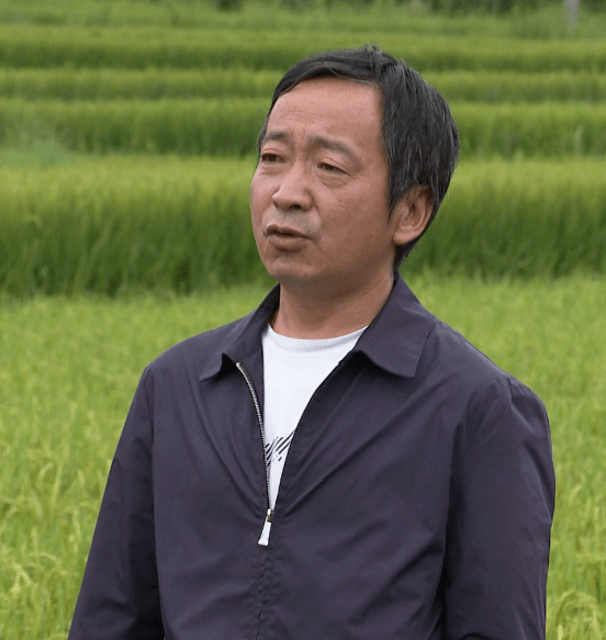 大理金秋丰收季稻花香鱼儿肥洱源凤羽田间唱起丰收调