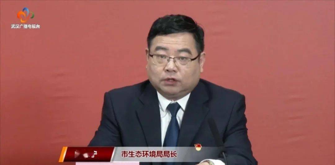 武汉市生态环境局局长 阎忠宁:抢抓机遇,加快推动绿
