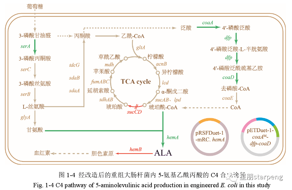 歷程長,原料有毒且價格昂貴等這些問題的制約,使得5-ala產率並不高