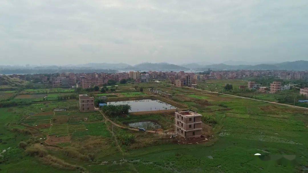 《这五年》:锐意改革新潮涌 激活发展新引擎_梧州