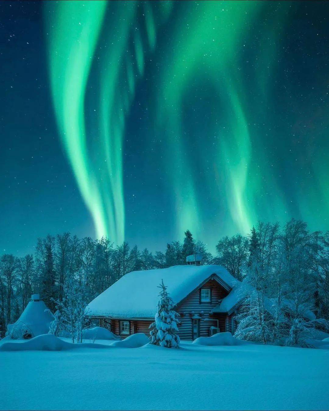 photo by ins@zeppaiophoto by ins@michellevonkalbenphoto by ins