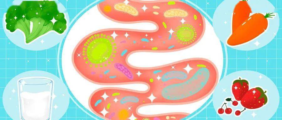 果糖|腹泻、便秘都用它？益生菌真的是肠道的“万能神药”吗？