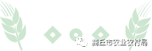 县农业农村局送来肥料收条怎么写