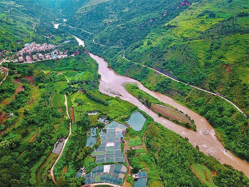 永和村在产业结构调整中寻求突围